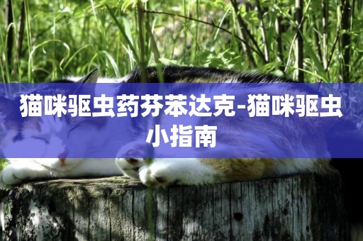 猫咪驱虫药芬苯达克-猫咪驱虫小指南